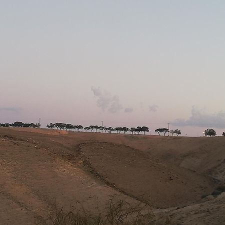 Hotel Desert Sunrise Arad Extérieur photo